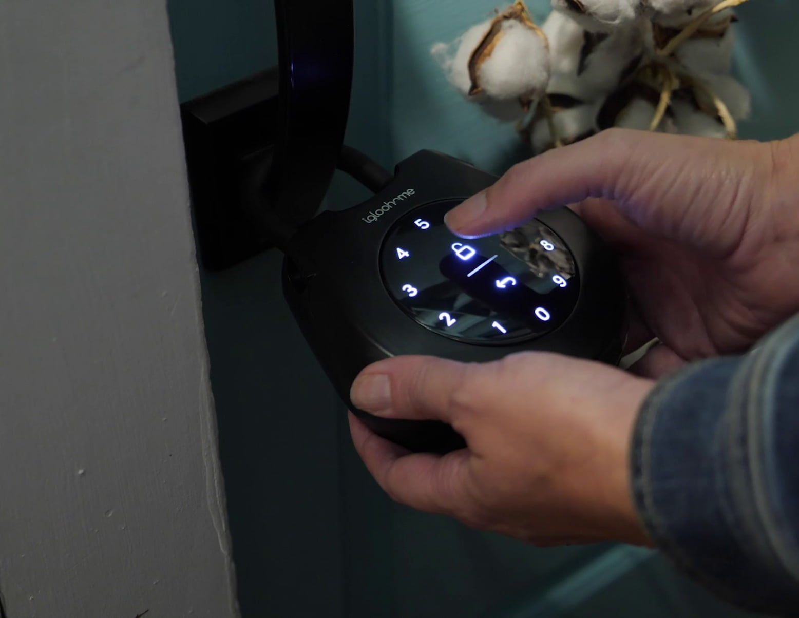 Backlit Keypad