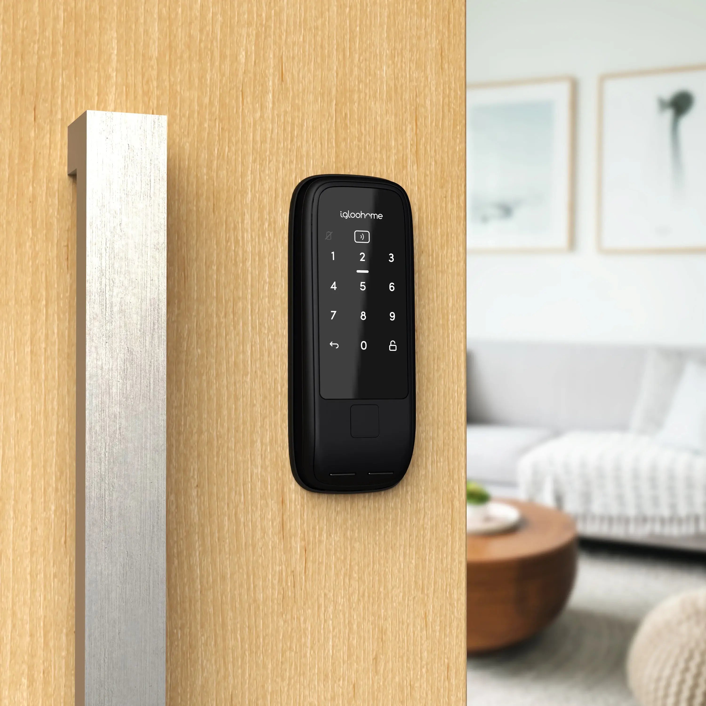 Rim Lock Wooden Doors